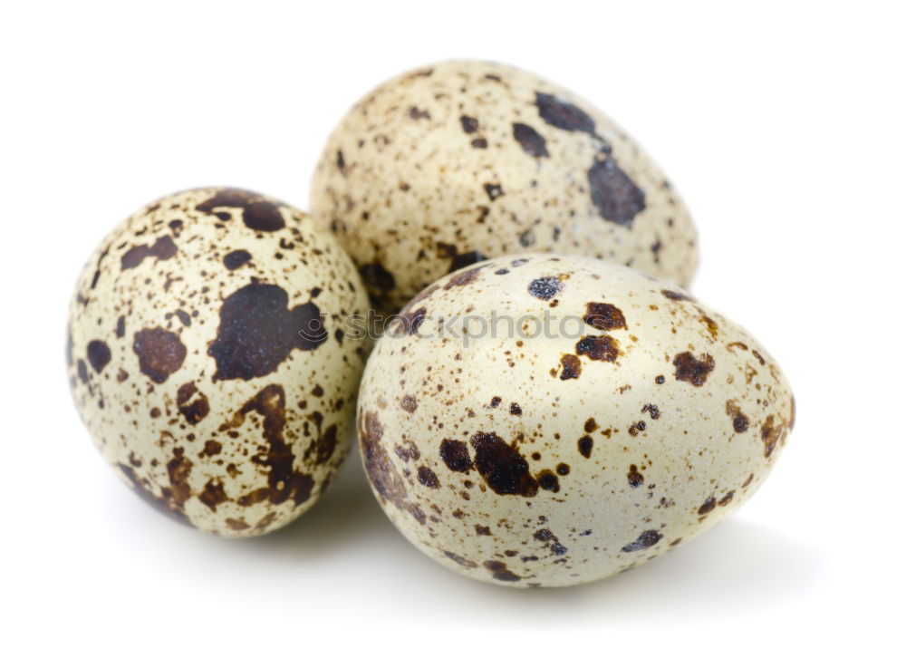 Similar – Image, Stock Photo Fresh quail eggs on a white surface