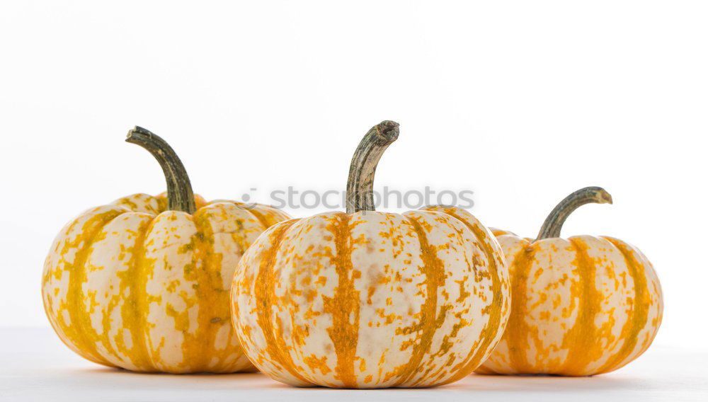 Image, Stock Photo Pumpkin stack on white