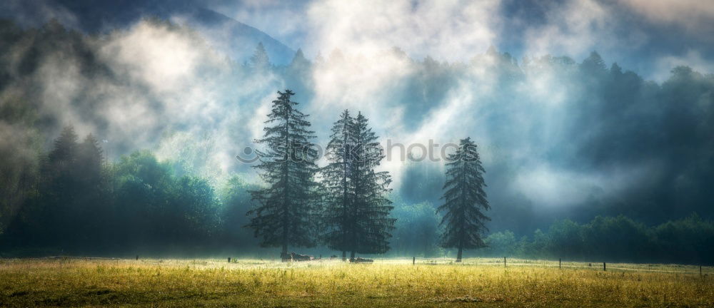 Image, Stock Photo Rainy afternoon Senses