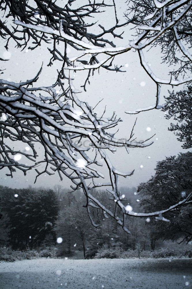 Similar – Image, Stock Photo snow hatching… Snow