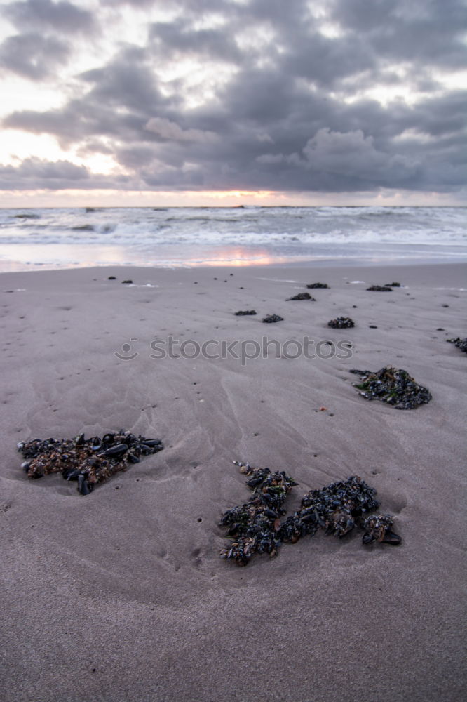 Similar – Foto Bild wechselwirkung Strand