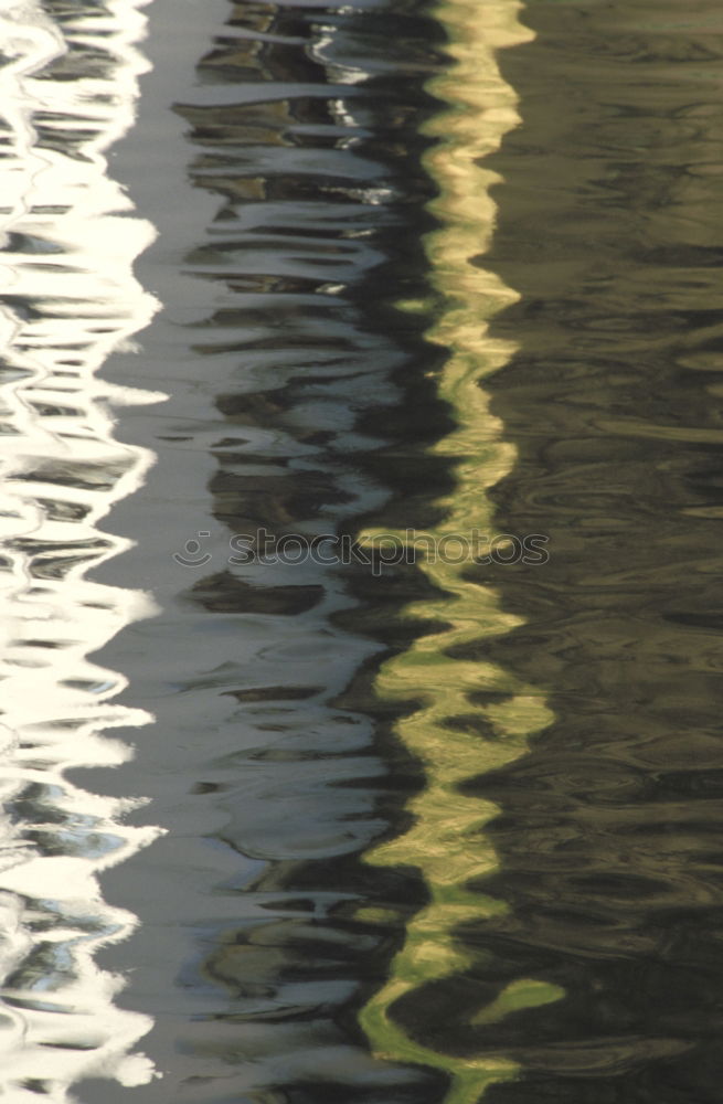 Similar – Image, Stock Photo rail shadow Animal Water