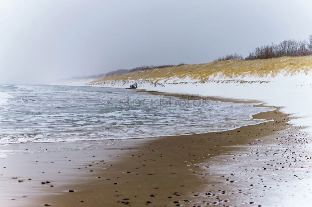 Similar – Image, Stock Photo West beach on the Darß