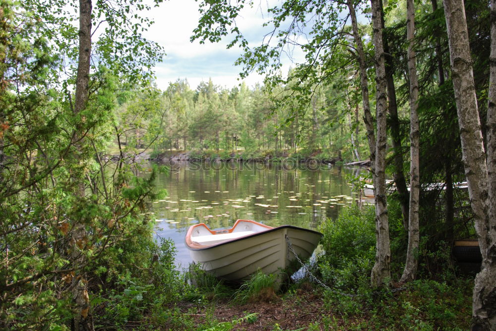 Image, Stock Photo Suddenly at the lake