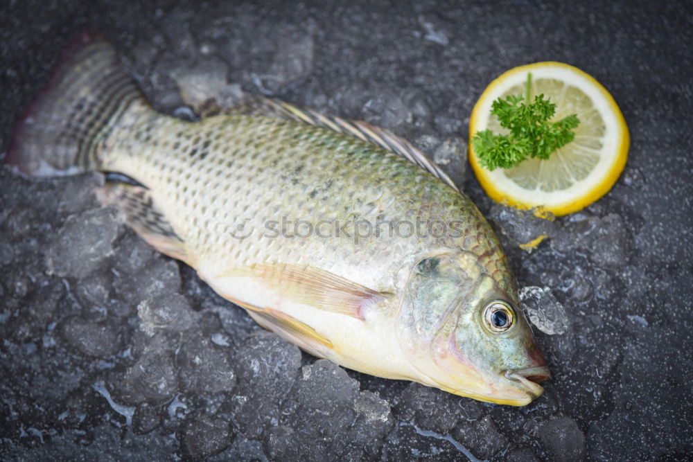 Similar – Image, Stock Photo Trout with ice cubes Food