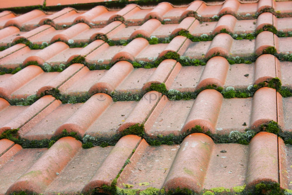 Similar – Image, Stock Photo The small roof window seemed to be lost and useless for a long time between the many red and meanwhile also weathered beavertail tiles