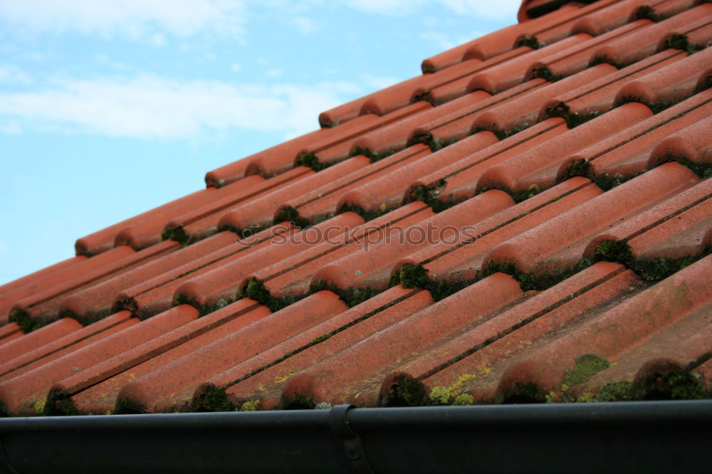 Similar – old town charm Roof Brick