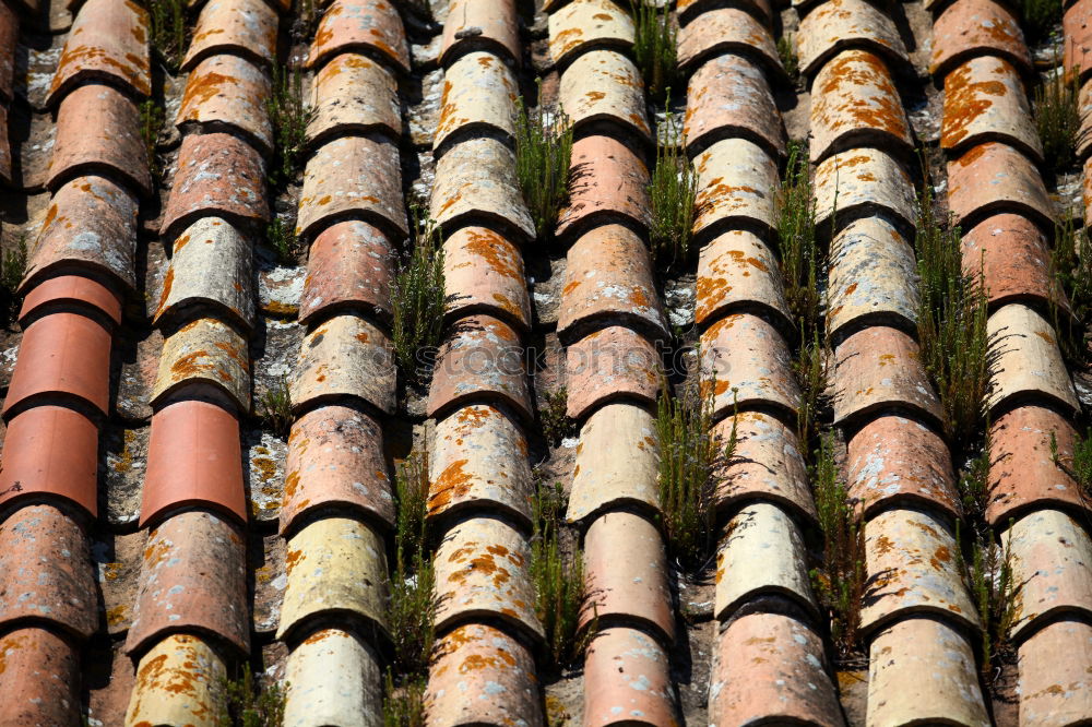 Similar – Roofs, roofs, gables, old town of Quedlinburg