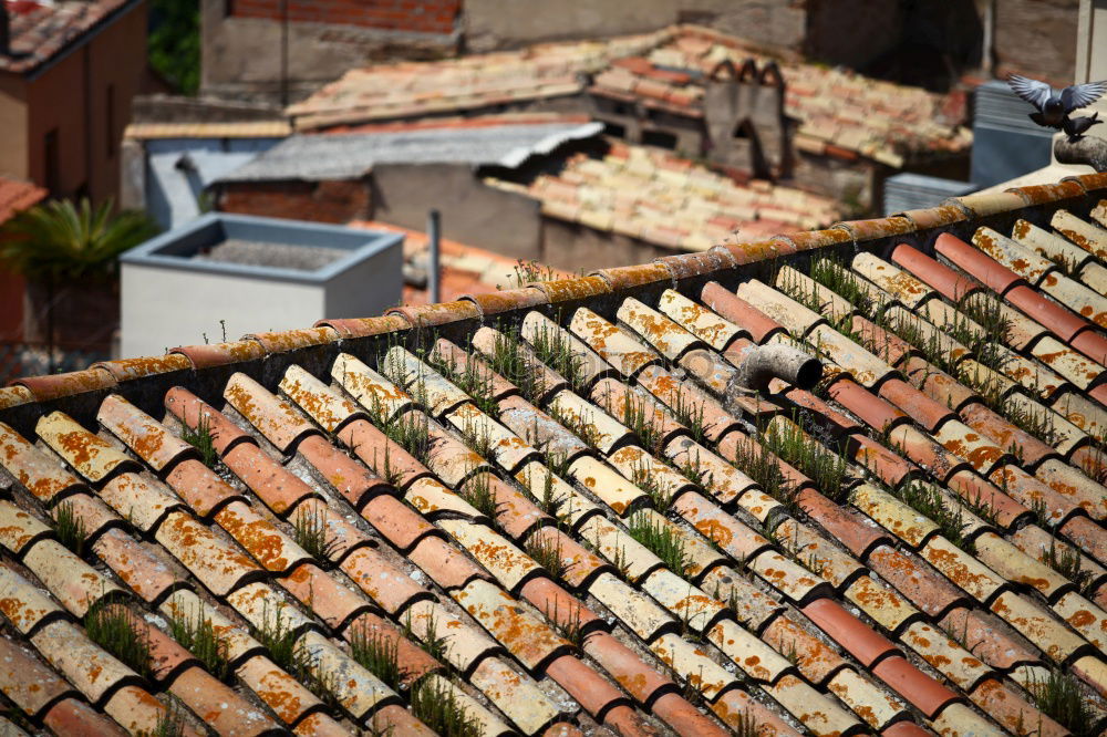 Similar – Image, Stock Photo Roof pool. Art Esthetic
