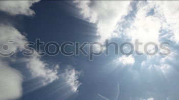 Similar – Sky with seagulls Alster