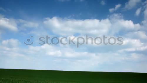 Similar – Image, Stock Photo Summer 2010 Hedge Sky