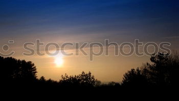 Similar – Autumn sunset 3 Fir tree