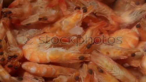 Similar – Image, Stock Photo prawns Food Seafood