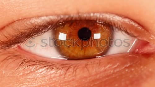 Similar – Image, Stock Photo the all seeing I Skin