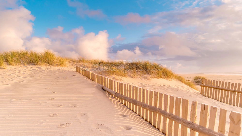 Similar – Strandkorb in den Dünen