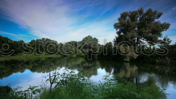 Similar – Image, Stock Photo Mirrored! Summer Nature