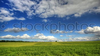 Similar – Image, Stock Photo Pointed cone heap of the former copper mining in the Mansfeld district behind a blooming rape field