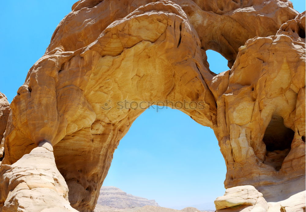 Similar – Image, Stock Photo Elephant Arch Beautiful