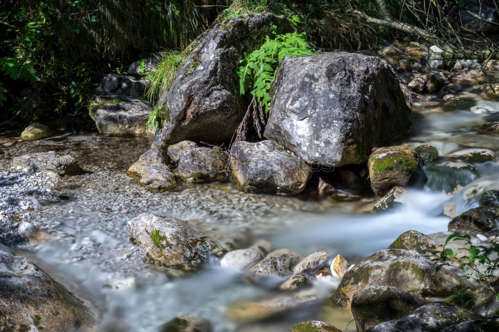 Similar – Image, Stock Photo Bypass moisture Trip