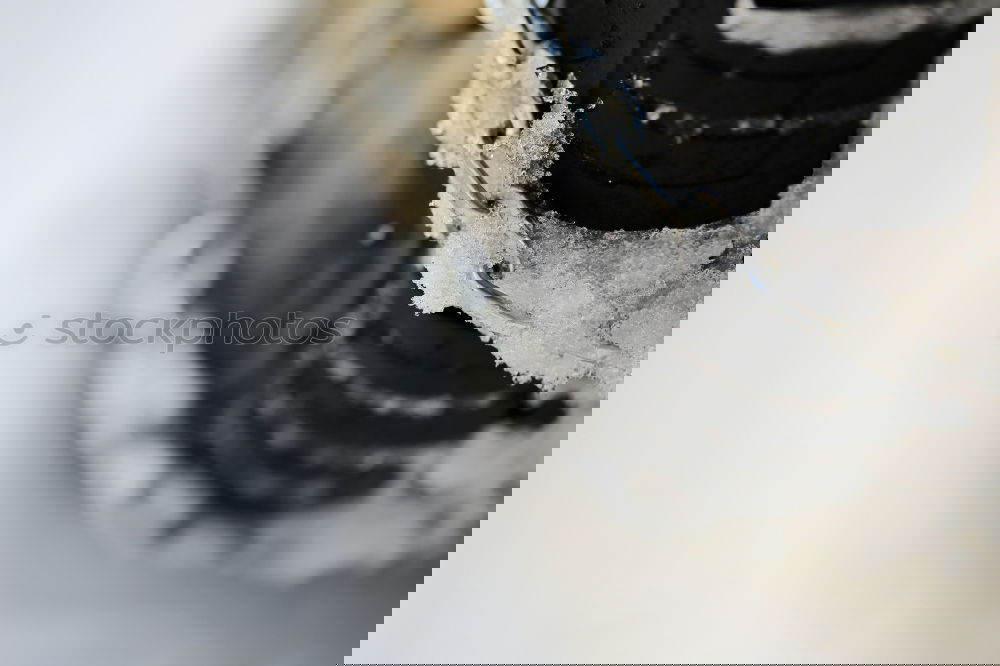 Similar – Foto Bild ERSTBEGEHUNG steigen