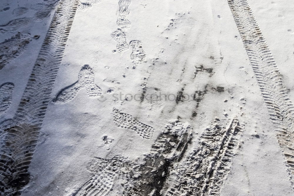 Similar – Foto Bild Schwarzgelbe Geschäftsgrundlage