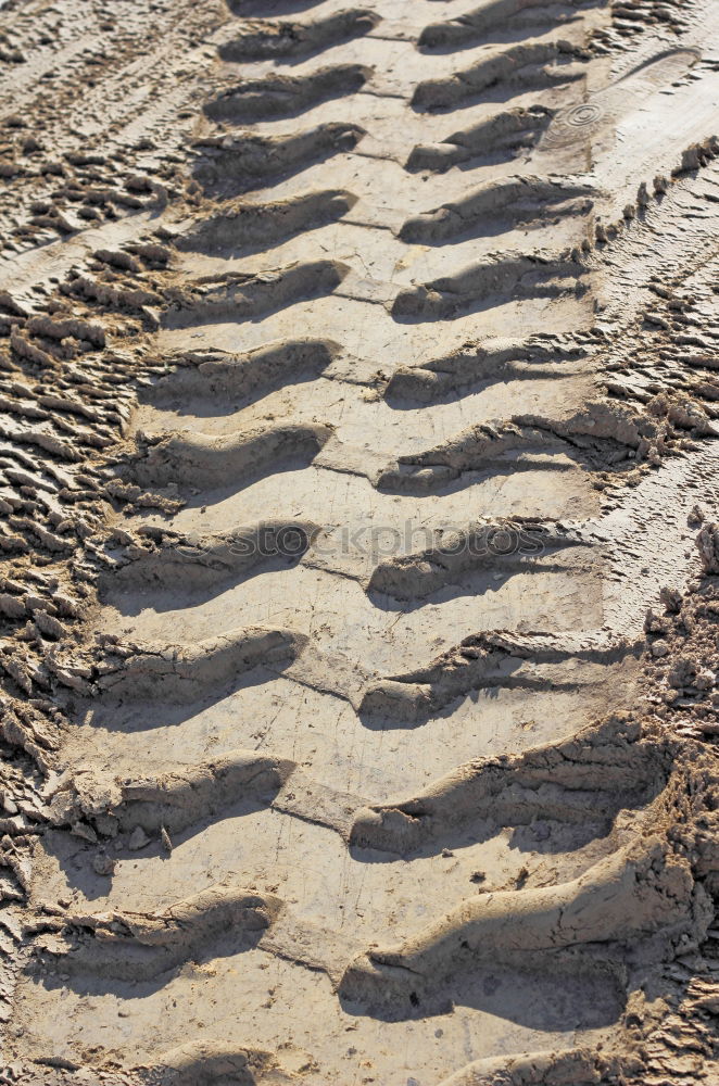 Similar – Foto Bild Meine Spuren im Sand