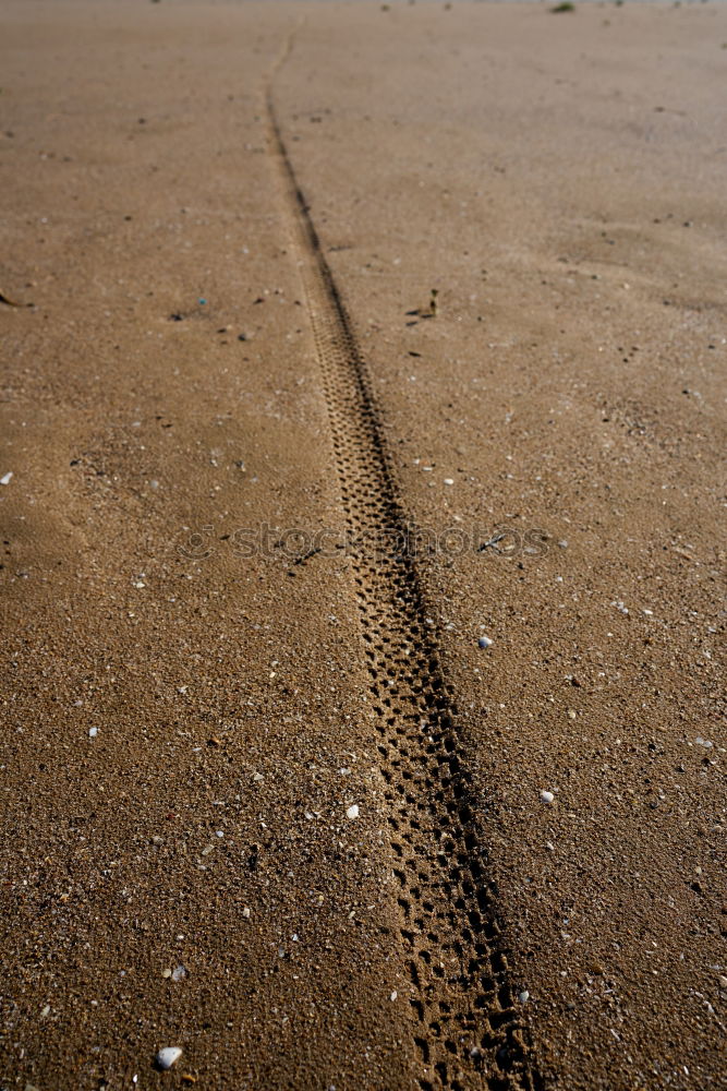 Katwijk aan Zee