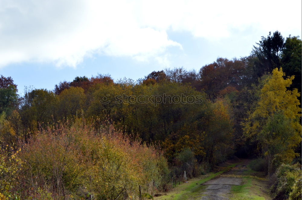 Similar – Image, Stock Photo Kraichgau. Nature