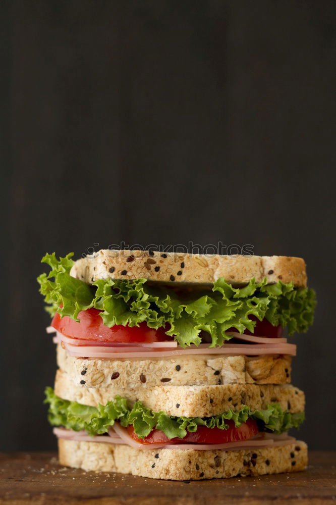 Similar – Image, Stock Photo Vegetarian sandwich