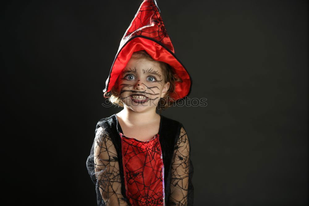 Similar – Image, Stock Photo Harlequin on swing