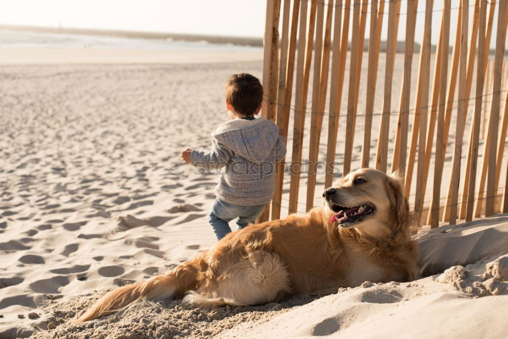 Similar – Dogs running near waving sea