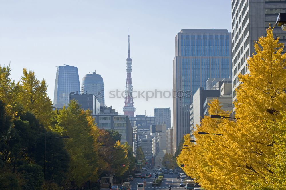 Similar – Image, Stock Photo Radio tower and television tower on a photo in autumn