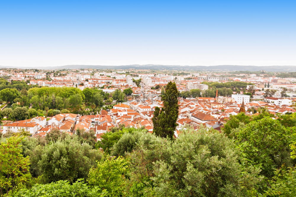 Similar – NATURE IN PRAGUE Prague