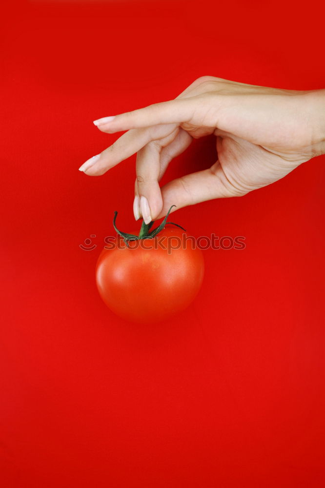 Similar – Image, Stock Photo #AS# Mastering burgers