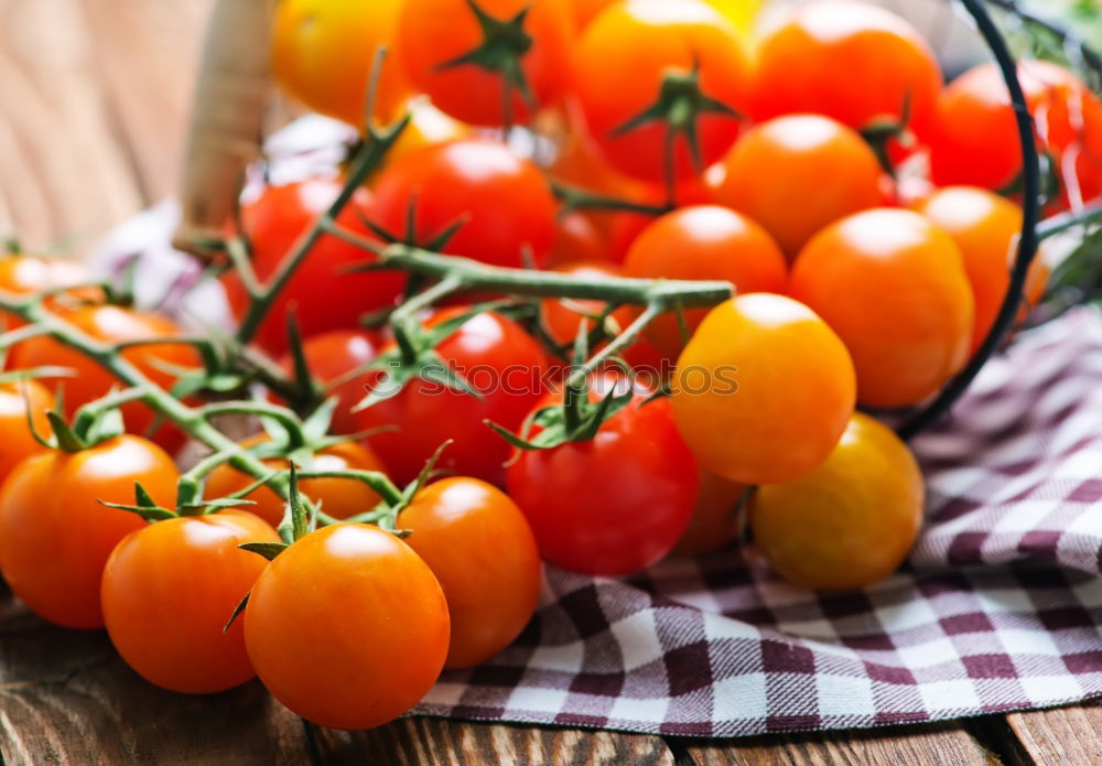 Similar – Picking tomatoes in basket