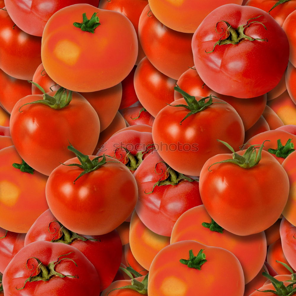 it’s time to tomato