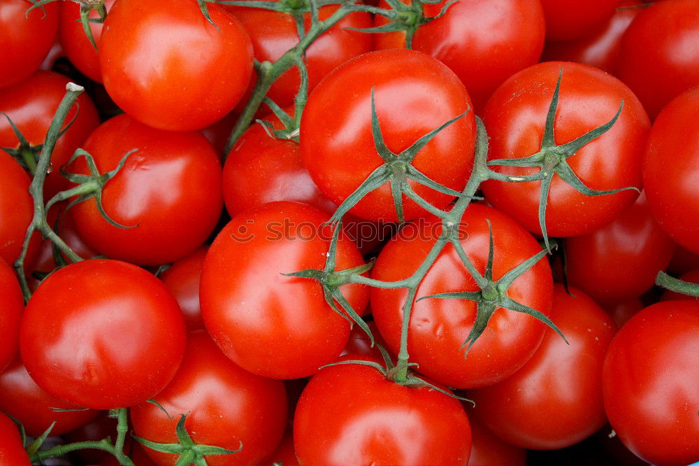 Similar – Background with fresh red tomatos