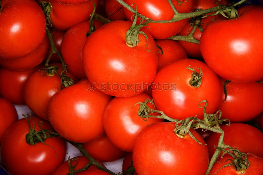 Similar – Background with fresh red tomatos