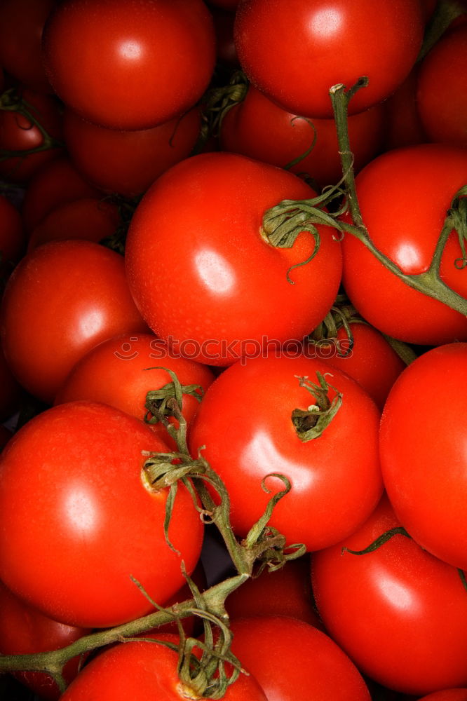 Similar – Image, Stock Photo Pasta Equipment Red