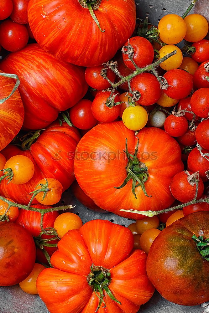 Similar – Fresh tomatoes Vegetable