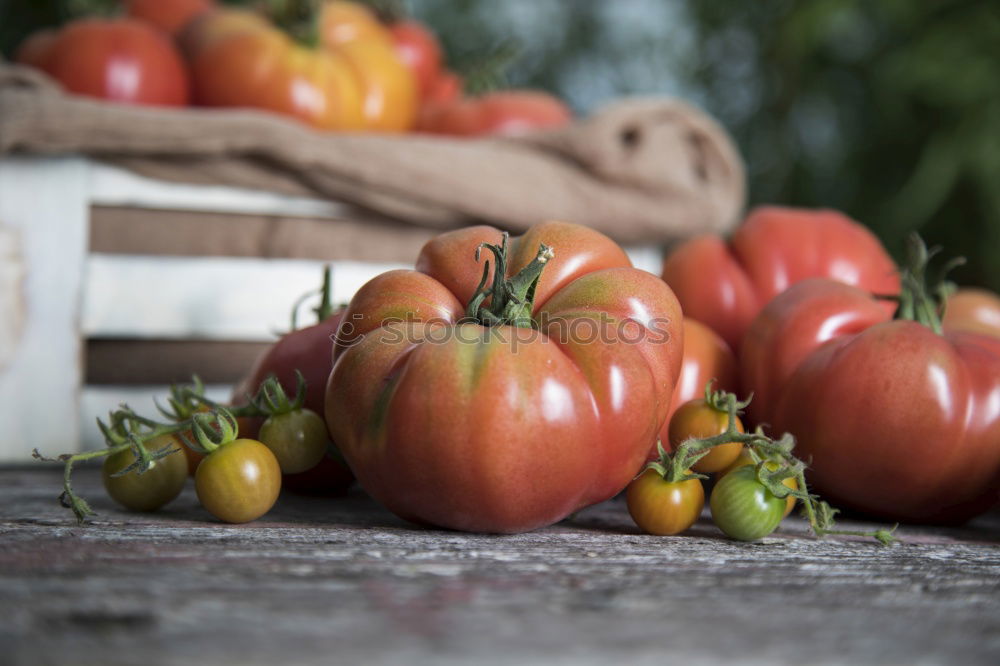 Similar – traffic light Vegetable