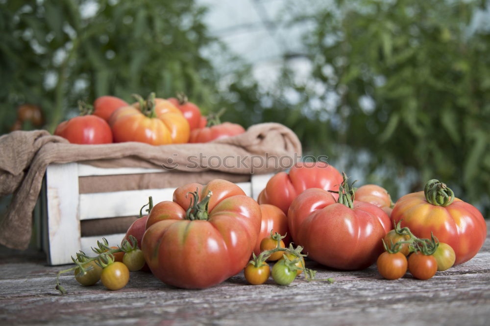 Similar – traffic light Vegetable