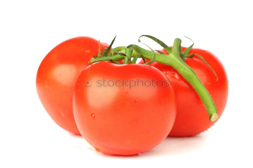 Similar – tomate_basilikum Basilikum