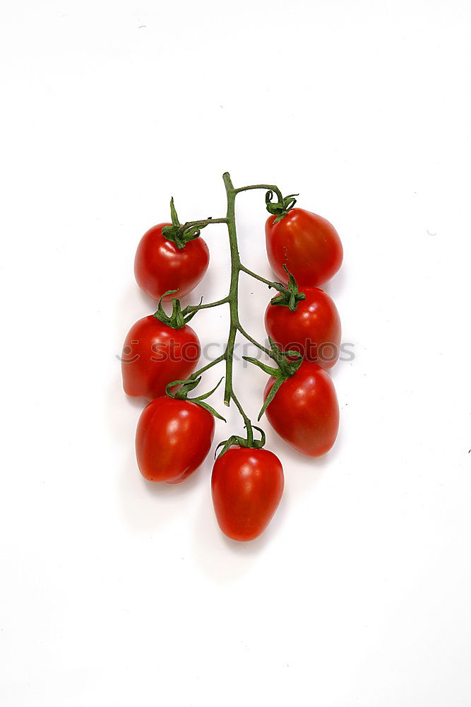 Similar – Fresh tomato Tomato