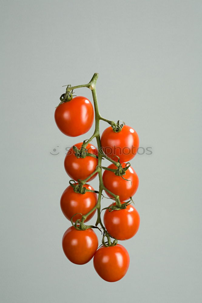 Similar – tomato Red Healthy Tomato