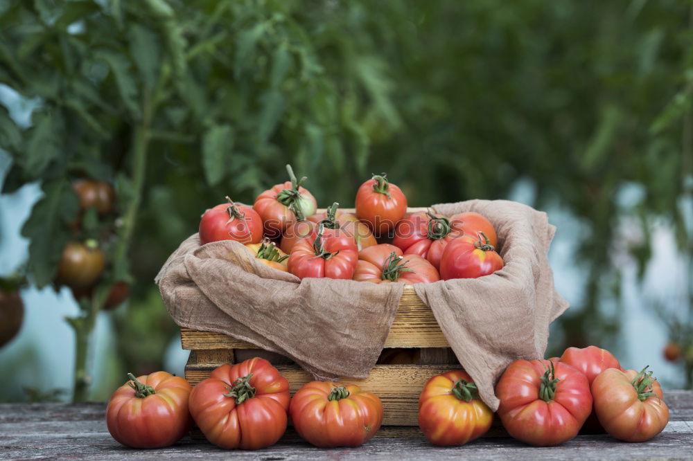 Similar – Image, Stock Photo weekly market Food