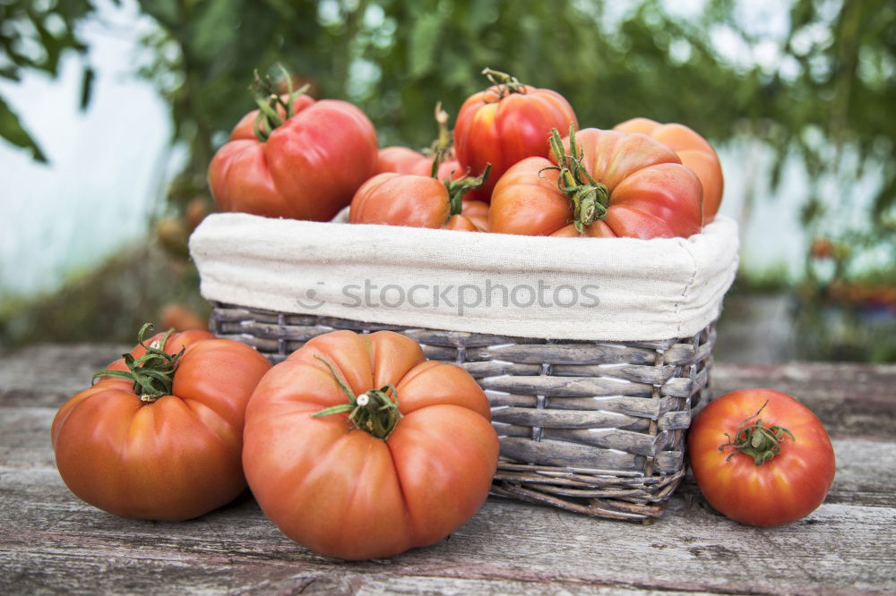 Similar – Image, Stock Photo weekly market Food