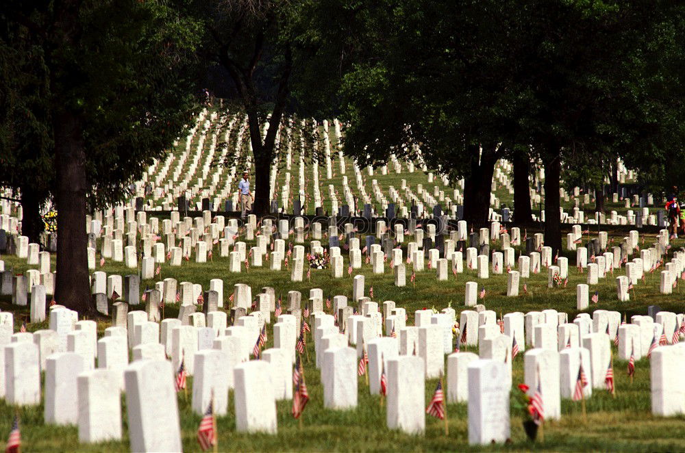Similar – Image, Stock Photo Dead or Alive War Grave