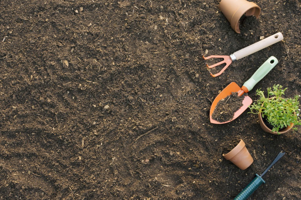 Similar – Planting potatoes in small garden