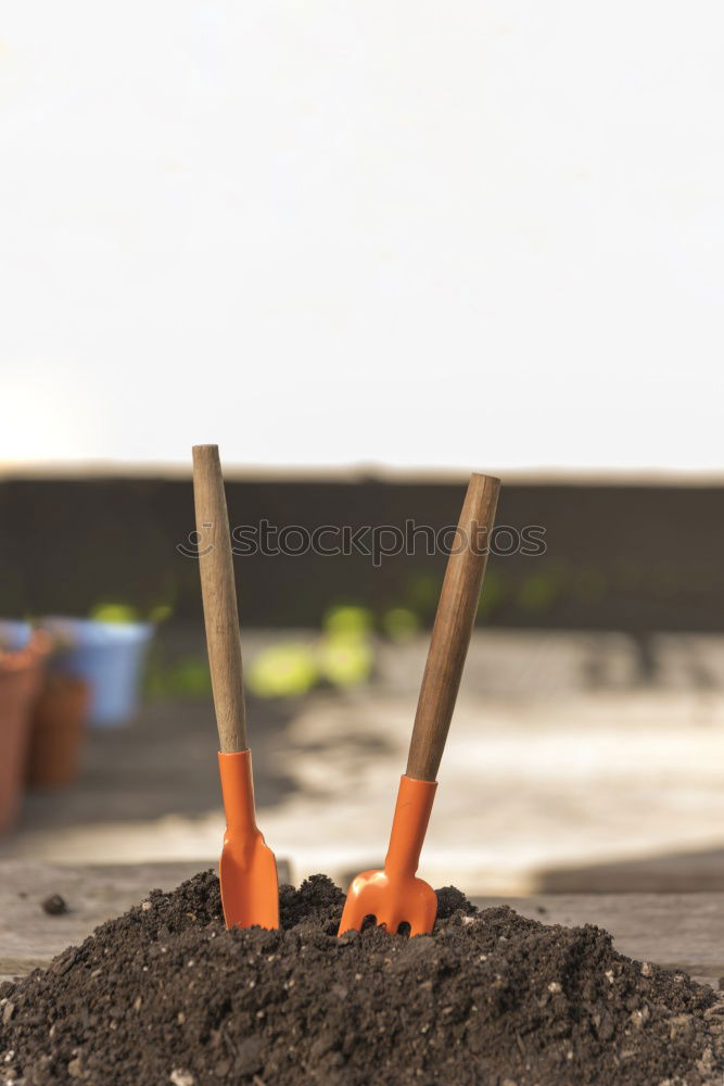 Similar – Image, Stock Photo Woman’s hands transplanting plant.